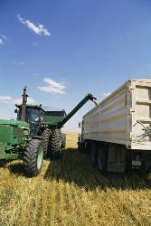 harvest